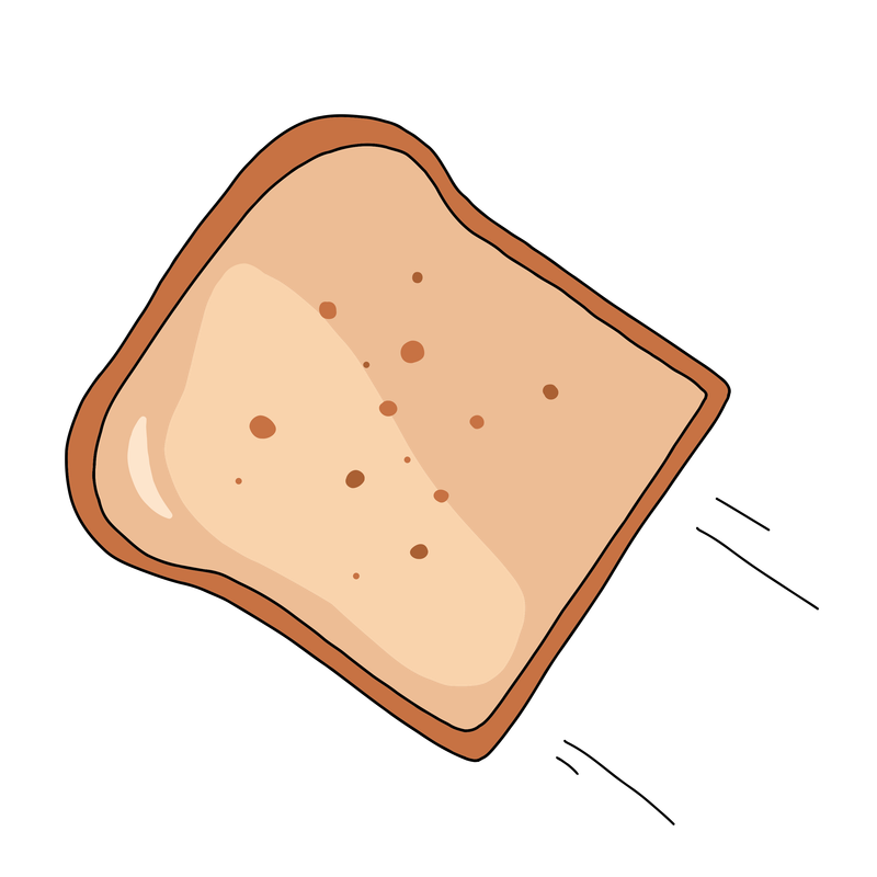 Brödkastning
