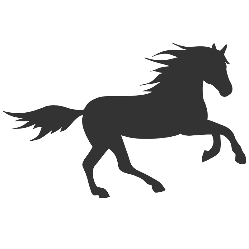 Skuggkonstnär